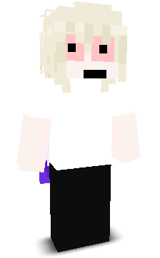 User's Minecraft appearance