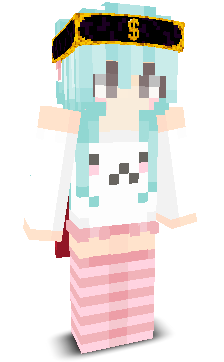 User's Minecraft appearance