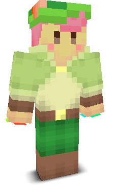 User's Minecraft appearance