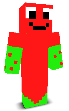 User's Minecraft appearance