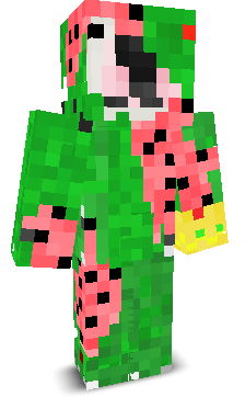 User's Minecraft appearance