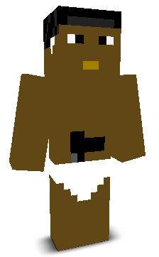 User's Minecraft appearance