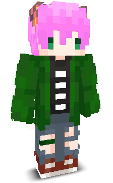 User's Minecraft appearance