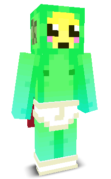 User's Minecraft appearance