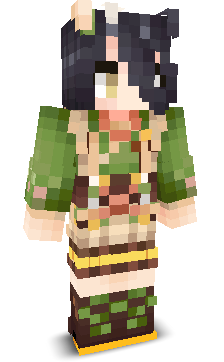 User's Minecraft appearance