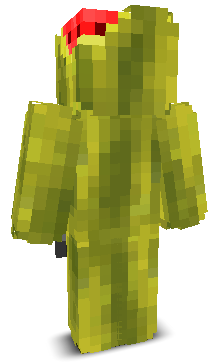 User's Minecraft appearance