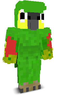 User's Minecraft appearance