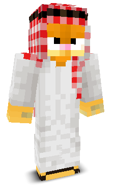 User's Minecraft appearance