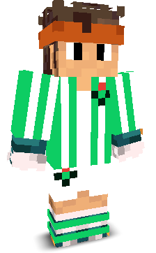 User's Minecraft appearance