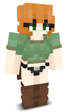 User's Minecraft appearance
