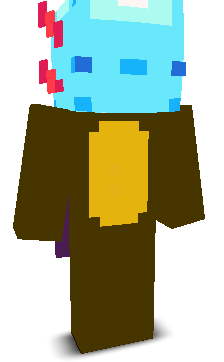 User's Minecraft appearance