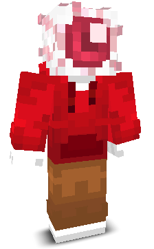 User's Minecraft appearance