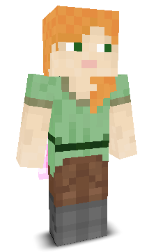 User's Minecraft appearance