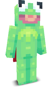 User's Minecraft appearance