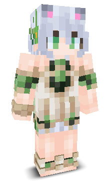 User's Minecraft appearance