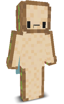 User's Minecraft appearance