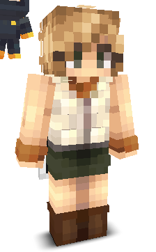 User's Minecraft appearance