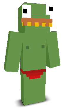 User's Minecraft appearance