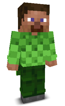 User's Minecraft appearance