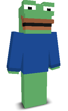 User's Minecraft appearance