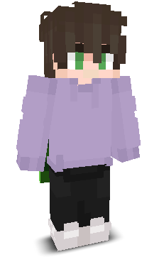 User's Minecraft appearance