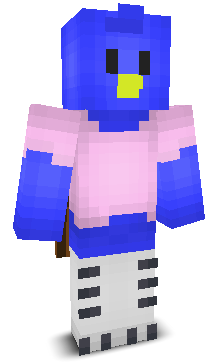 User's Minecraft appearance