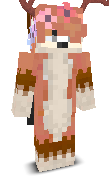User's Minecraft appearance