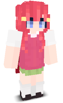 User's Minecraft appearance