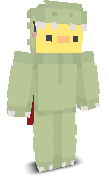 User's Minecraft appearance