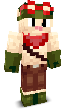 User's Minecraft appearance