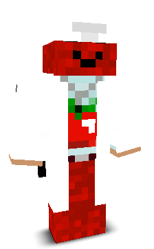 User's Minecraft appearance