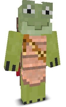 User's Minecraft appearance