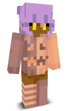 User's Minecraft appearance