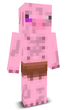 User's Minecraft appearance