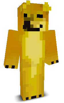 User's Minecraft appearance