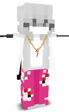 User's Minecraft appearance