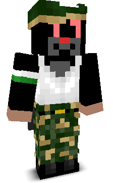 User's Minecraft appearance