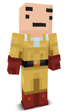 User's Minecraft appearance