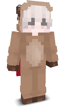User's Minecraft appearance