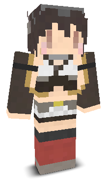 User's Minecraft appearance