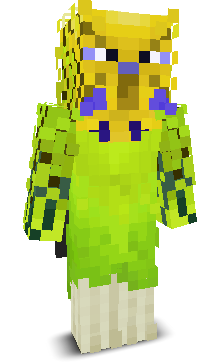 User's Minecraft appearance