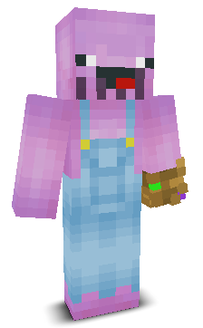 User's Minecraft appearance