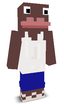 User's Minecraft appearance