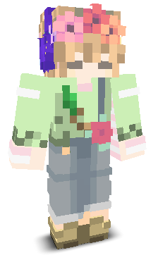 User's Minecraft appearance