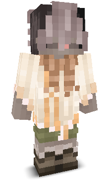 User's Minecraft appearance