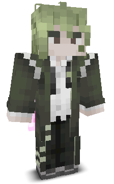 User's Minecraft appearance