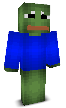 User's Minecraft appearance