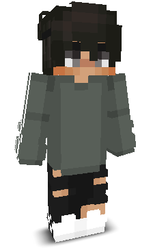 User's Minecraft appearance