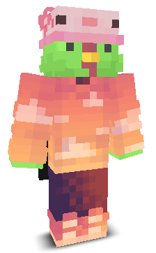 User's Minecraft appearance