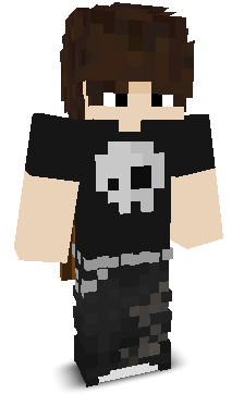 User's Minecraft appearance